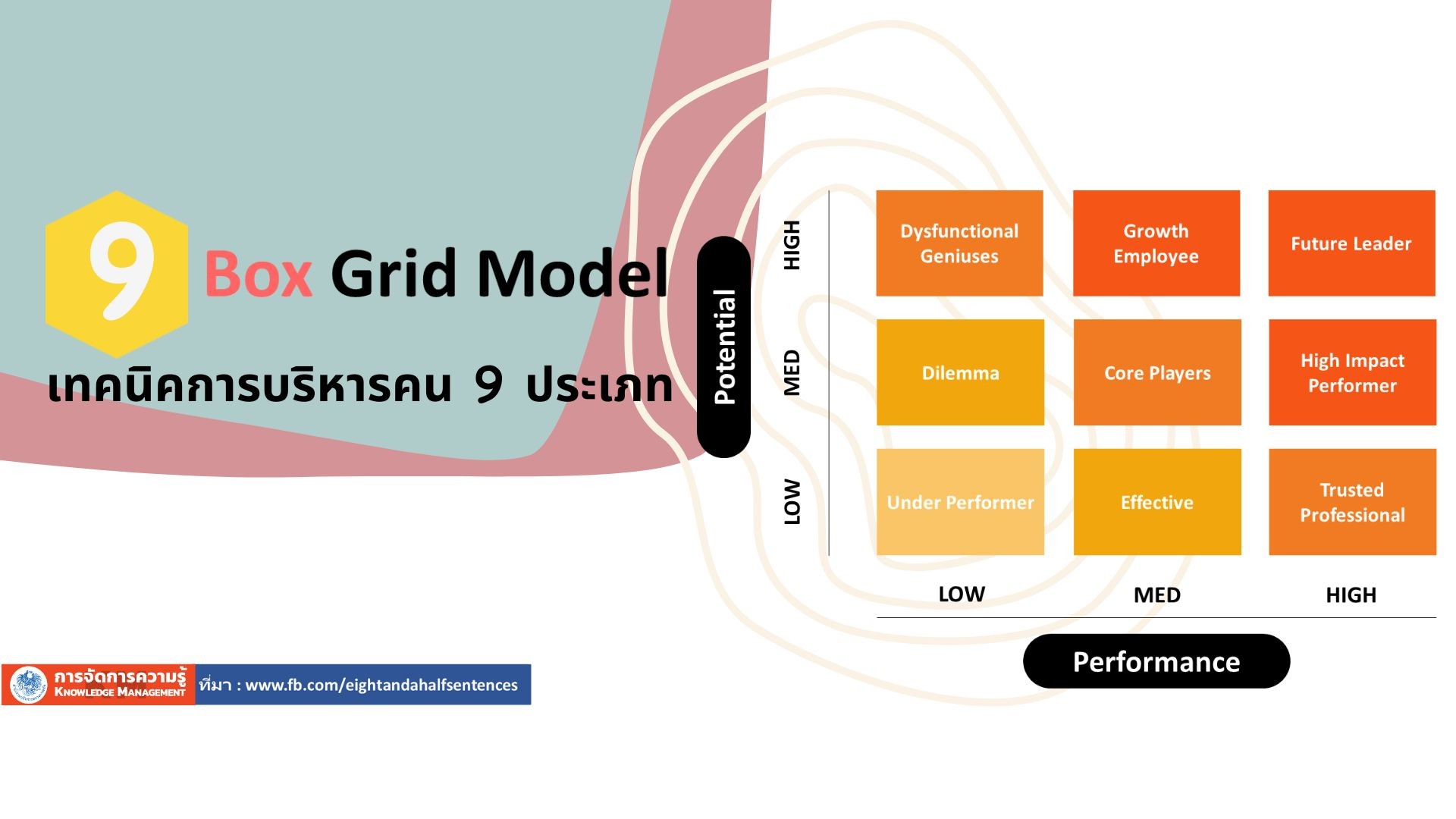 9 Box Grid Model